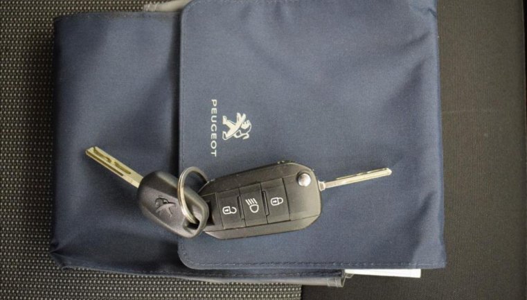 Peugeot Traveller